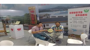 畢加展覽助力神益茶業(yè)進(jìn)擊中國(guó)茶葉交易會(huì)