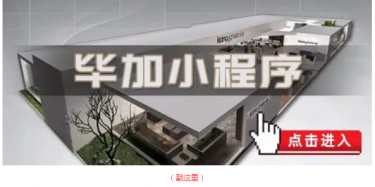 畢加邂逅小“情人”，那就再愛(ài)一次吧